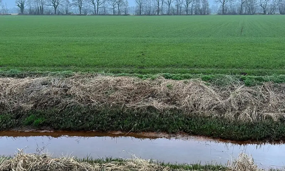 Einer der Täter flüchtete über ein Feld (Foto: Matthias Brüning)