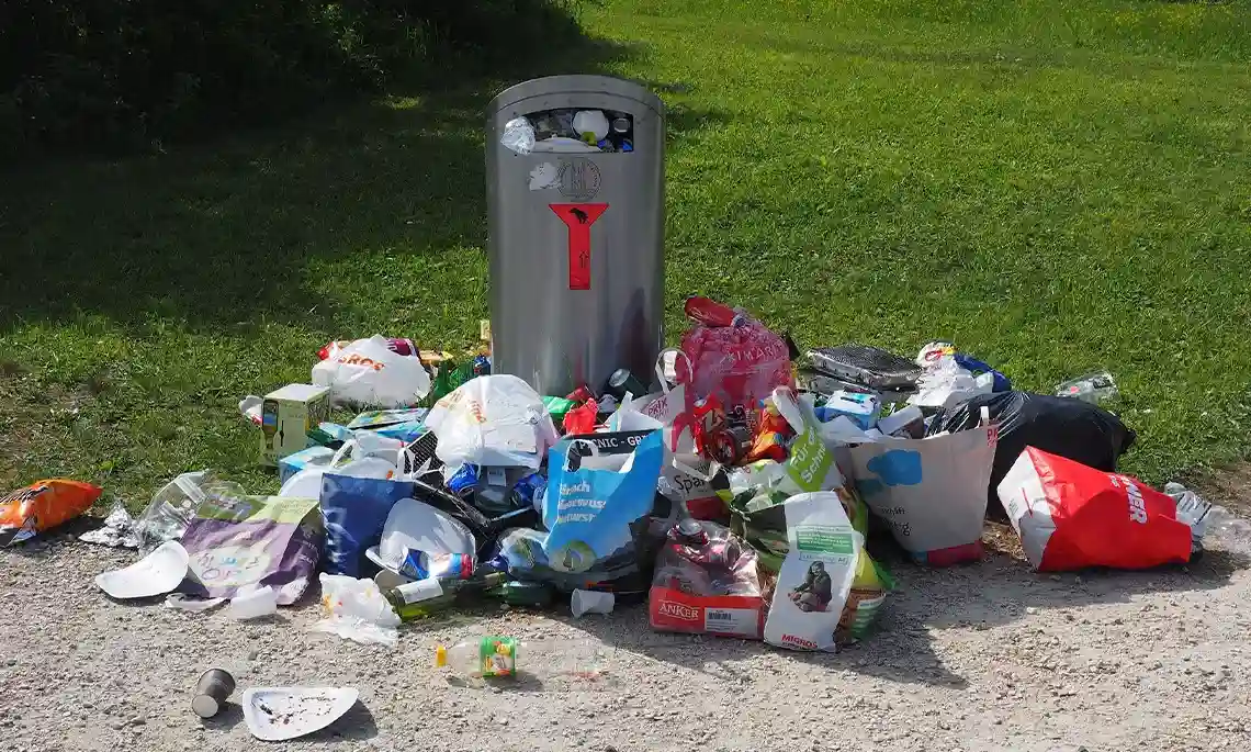 „Frühjahrsputz“ in Lingen – Freiwillige am 14. und 15. März willkommen