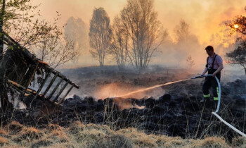 Geplante Abflämmarbeiten auf dem Gelände der WTD 91 – Kein Grund zur Besorgnis
