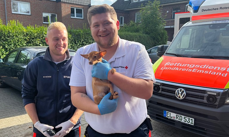 Meppen – Feuerwehr rettet Hund aus verrauchter Wohnung