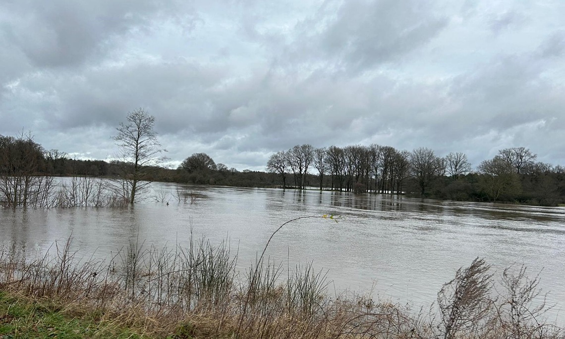 Hochwasserlage in Lingen (Ems)