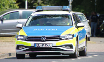 Polizei in Andervenne auf Bullenjagd