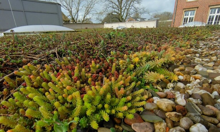 Nordhorn – Zweite Bürgerbeteiligung zur Klimawandelanpassung