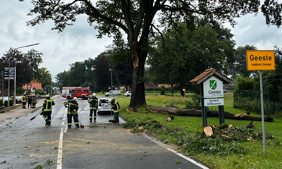 Geeste – Großer Ast fällt auf Autodach
