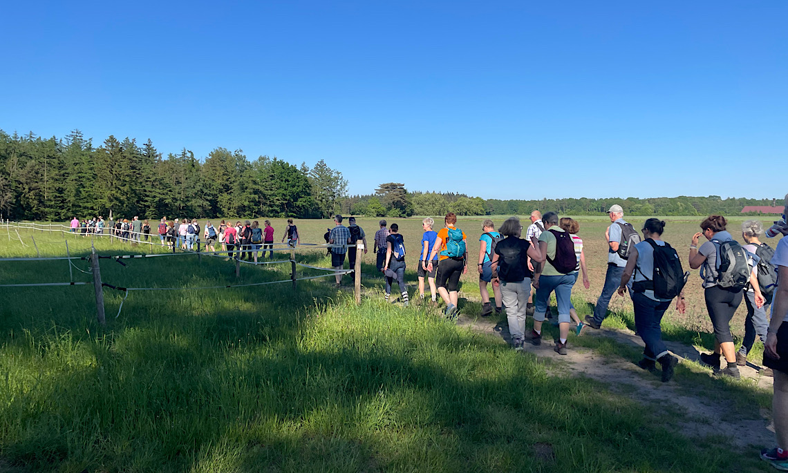 Tag des Wanderns – Wanderung durch Geeste