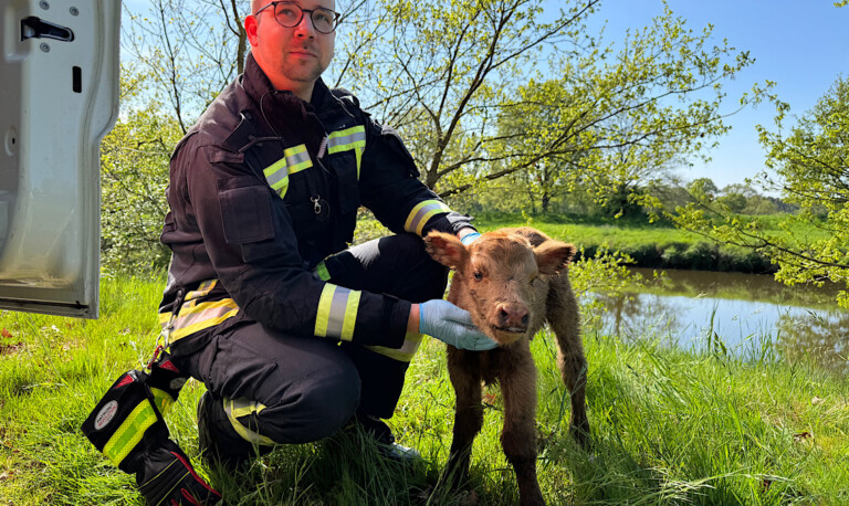 Meppen – Feuerwehr rettet kleines Kalb aus der Hase
