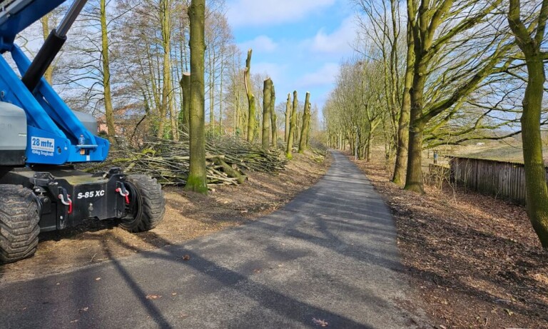 Meppen – Weitere Sanierung des Deichabschnitts am Keltenweg