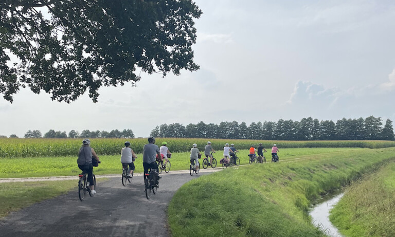 Geeste – Geführte Radtour durchs Moor