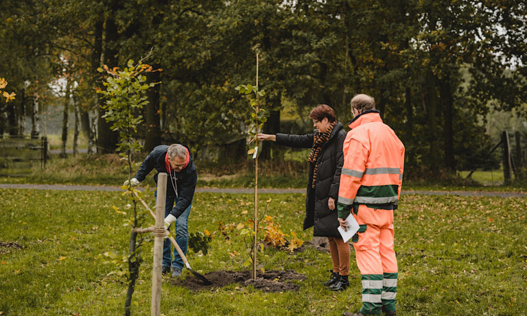 Hochzeits- und Familienwald Nordhorn – Ein Baum für die Ewigkeit
