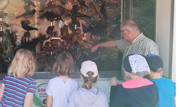 Sommerferienangebote im August auf dem Kossehof der VHS Meppen