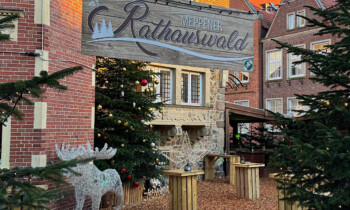 Meppen – Weihnachtsbäume für den Rathauswald gesucht
