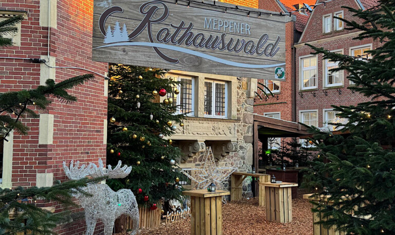 Meppen – Weihnachtsbäume für den Rathauswald gesucht