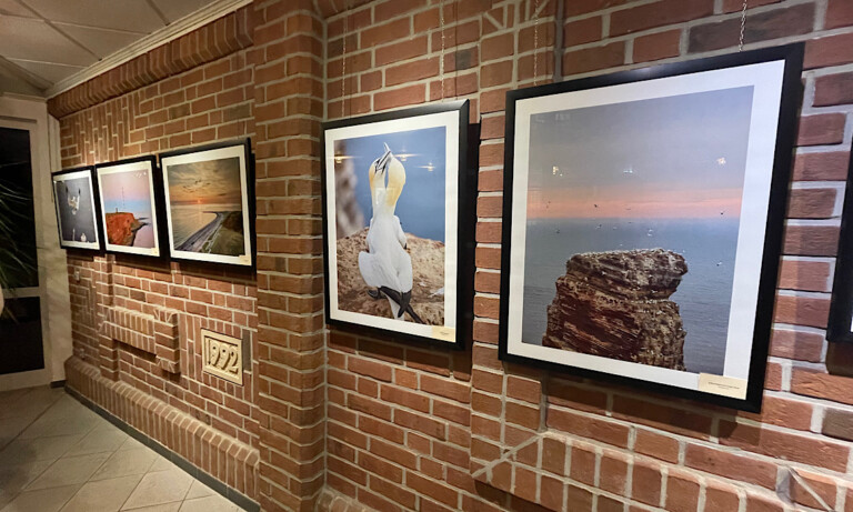 Faszination Nordseeinseln – Neue Fotoausstellung im Geester Rathaus eröffnet