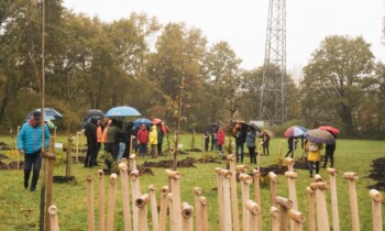 Nordhorn – Pflanzaktion „47. Hochzeits- und Familienwald 2025“