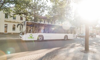 Freizeitbus wird Dauerläufer – SamSon fährt bald ganzjährig