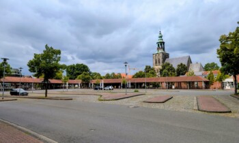 Nordhorn – Stadthafen-Projekt: Baumfällarbeiten starten