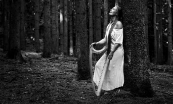 Ich suche die Blaue Blume – Märchen der Romantik in der Stadtbibliothek Nordhorn