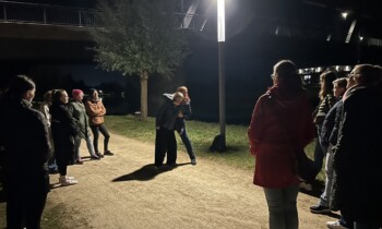 Nightwalk für Frauen in Haren und im Landkreis Emsland