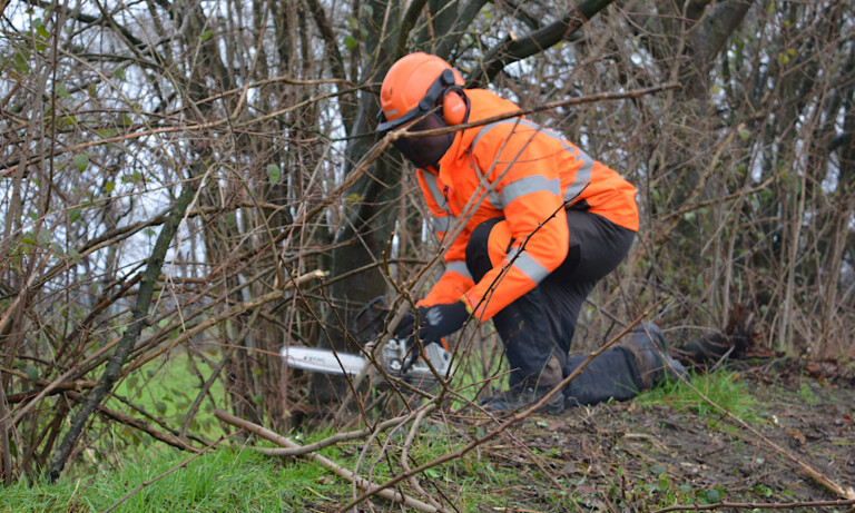 Gehölzrückschnitt in der Gemeinde Geeste