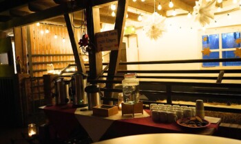 Adventszauber im Stall – VHS Meppen sorgt für weihnachtliche Atmosphäre auf dem Kossehof