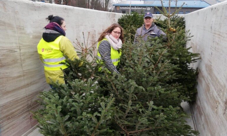 Weihnachtsbaumsammelaktion in Papenburg am 10.01. zugunsten des Malteser Ehrenamtes