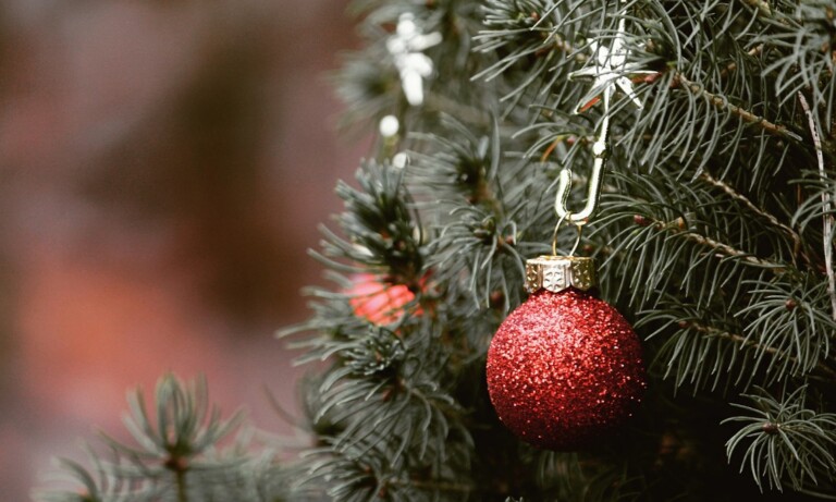 Abholtermine der ausgedienten Tannenbäume in Meppen und Umgebung