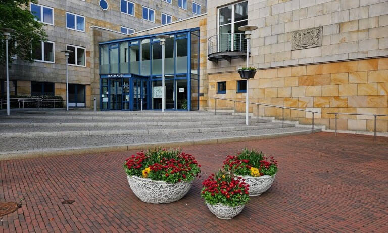 Bundesfreiwilligendienst bei der Stadt Lingen (Ems)