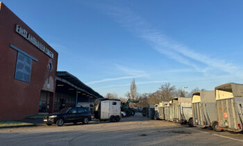 Lingen – Tier durchgedreht –  Mehrere Verletzte bei Auktion