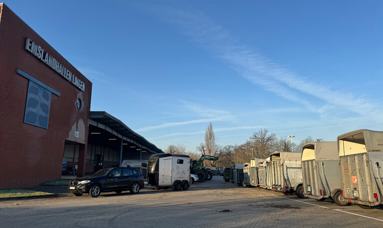 Lingen – Tier durchgedreht –  Mehrere Verletzte bei Auktion