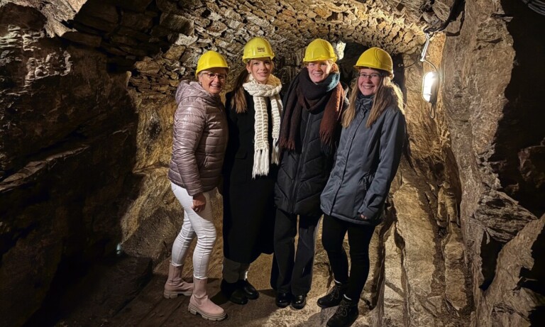 Lingener Auszubildende sammeln Praxiserfahrungen in Limerick und Marienberg