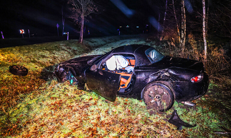 Schöninghsdorf – Mit 1,72 Promille von Straße abgekommen