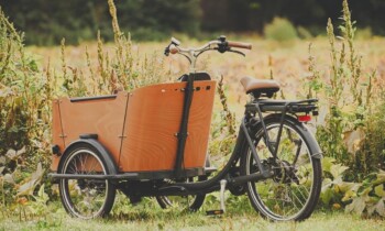 Lingen fördert Kauf von Lastenfahrrädern und -pedelecs