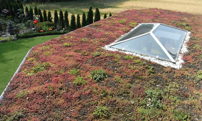 Dachbegrünungen und ihre Vorteile – Vortrag auf dem Kossehof der VHS Meppen