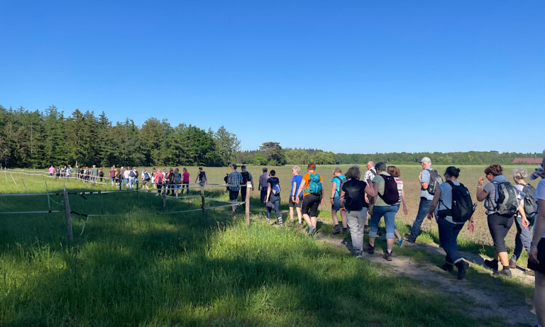 Tag des Wanderns – Gemeinsame Wanderung durch Geeste
