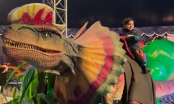 Giganten der Urzeit erobern Meppen – Dino Live Show erstmals in der Stadt