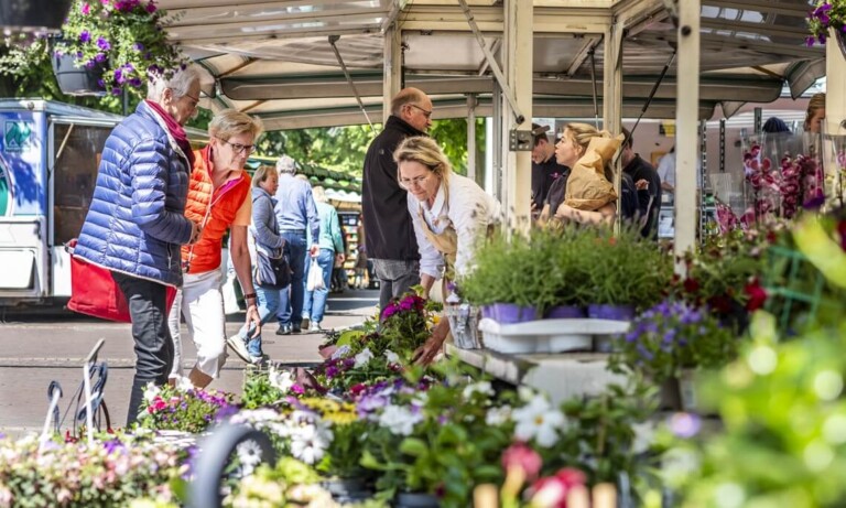 Umfrage zu Wochenmärkten in Nordhorn