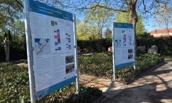 Geschichte, Handwerk und Erinnerung: Schulen setzen Zeichen auf Meppener Friedhof