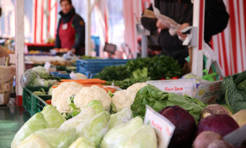 Zuwachs für den Harener Wochenmarkt – Honig und Setzlinge