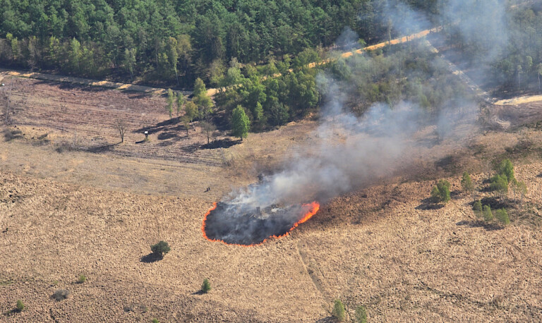 Vegetationsbrand auf WTD-Gelände