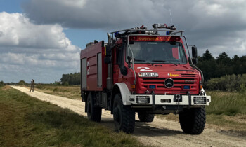 Vegetationsbrand auf Gelände der WTD 91