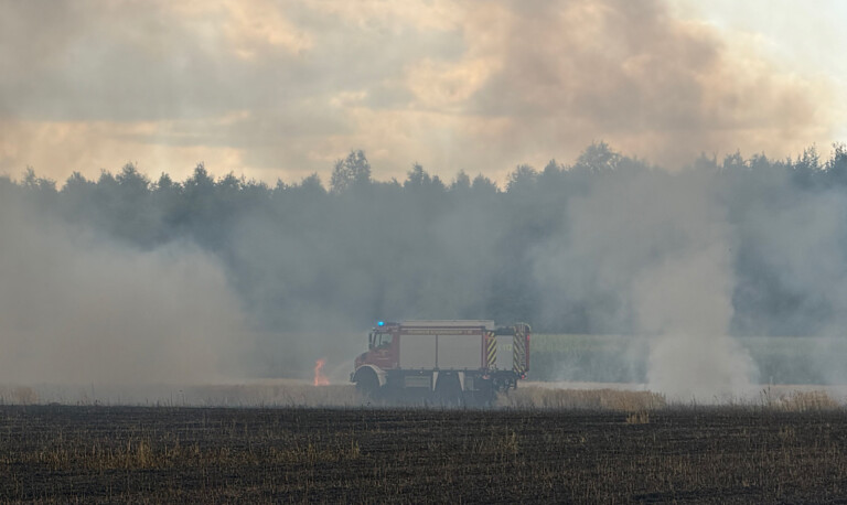 Twist – Kornfeld steht lichterloh in Flammen