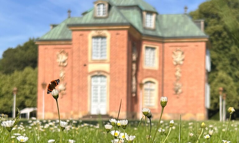 Schloss Clemenswerth – Begleitprogramm zur Sommerausstellung „METAMORPHOSE“ im Juli