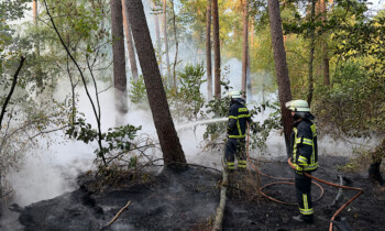 Feuerwehren löschen Waldbrand in Lingen