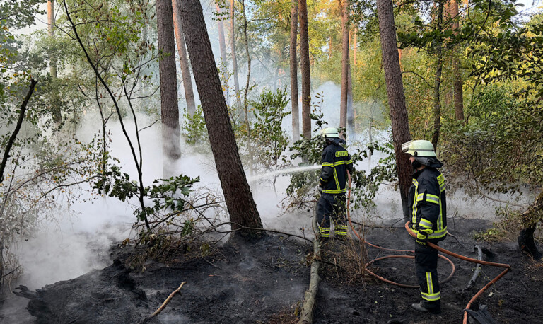 Feuerwehren löschen Waldbrand in Lingen