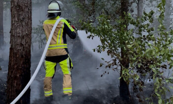 Werlte – Waldbrand in Bockholte, 3 Feuerwehren im Einsatz