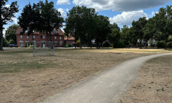 Geeste – Ein Picknick für Begegnung, Austausch und zum Kennenlernen im Rathauspark
