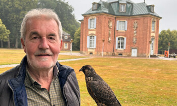 Greifvögel hautnah erleben – Falknertag auf Schloss Clemenswerth