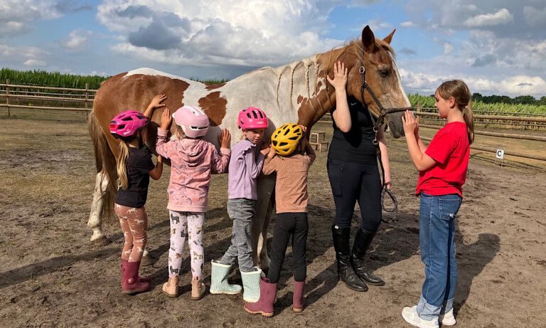 Abwechslungsreiches Ferienpassprogramm für Nordhorner Kinder