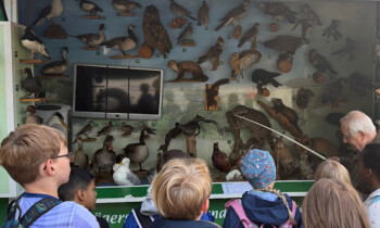 Waldjugendspiele 2026 – Papenburger Kinder entdecken den Wald