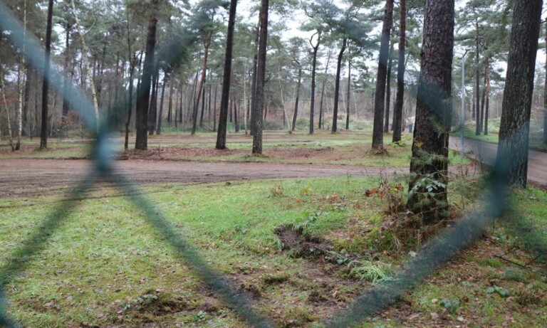 Meppen – Hundefreilauffläche wird zum 26. Oktober geschlossen